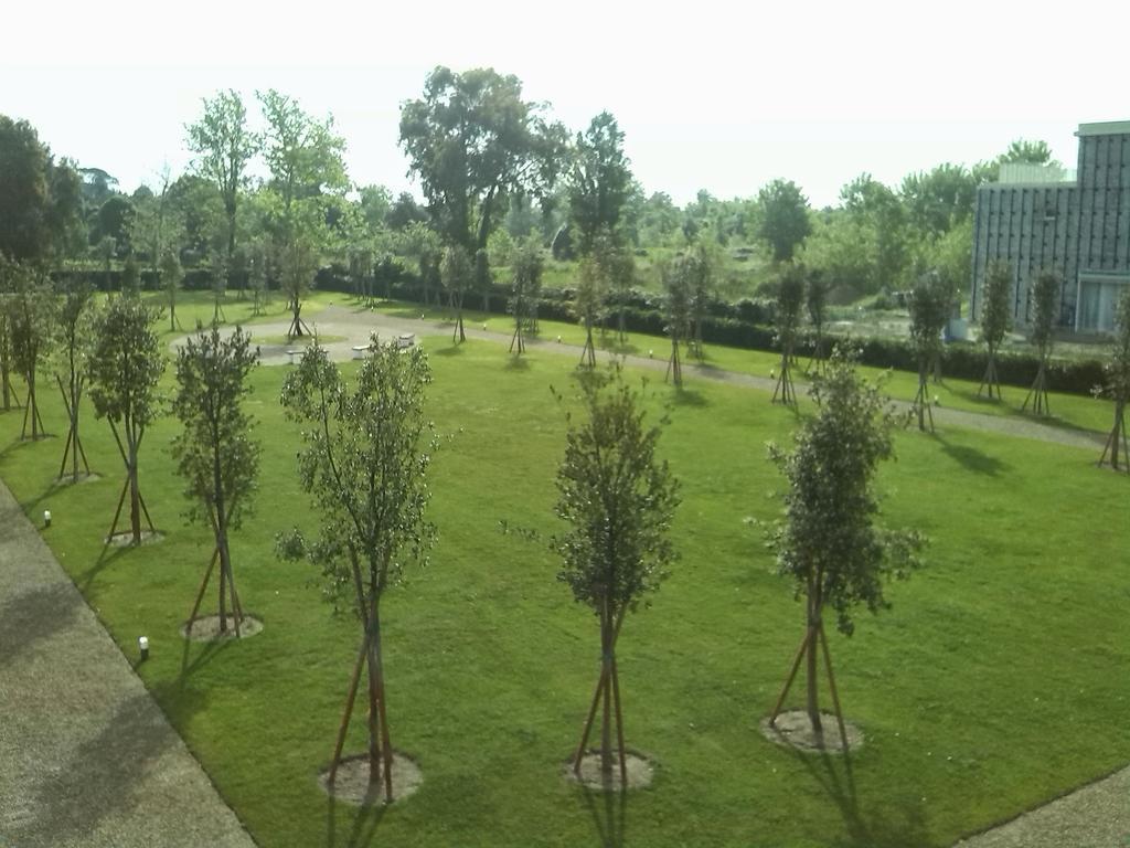 Eliopoli Beach Hostel & Restaurant Tirrenia Zewnętrze zdjęcie
